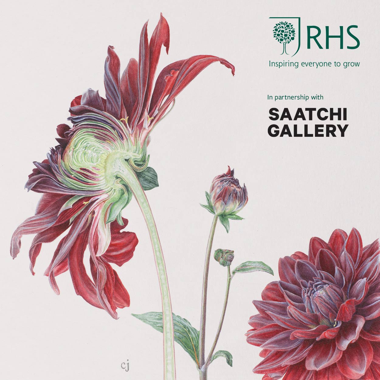 Private viewing of the RHS Botanical Art & Photography Show