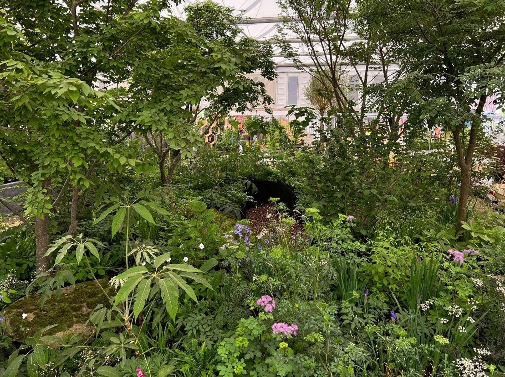 Supporting the Wilderness Foundation UK’s garden at RHS Chelsea Flower Show 2022